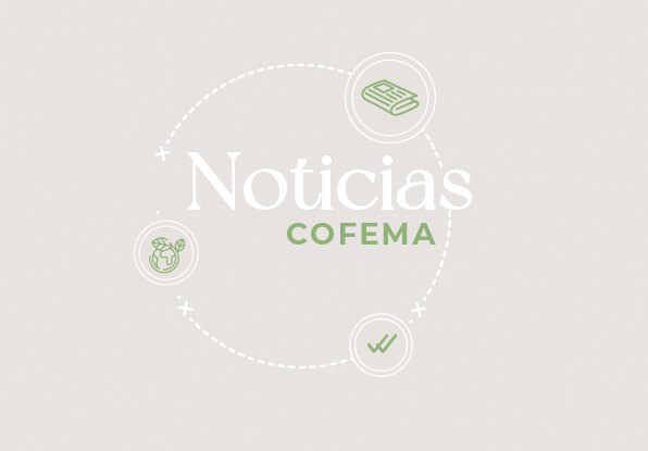 Noticias COFEMA_Mesa de trabajo 1