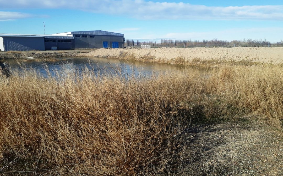 El Ministerio de Ambiente realizó controles en una planta procesadora de pescado en Dolavon