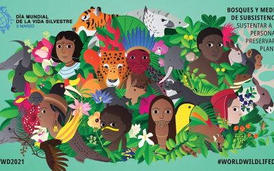 3 de Marzo – Día Mundial de la Vida Silvestre