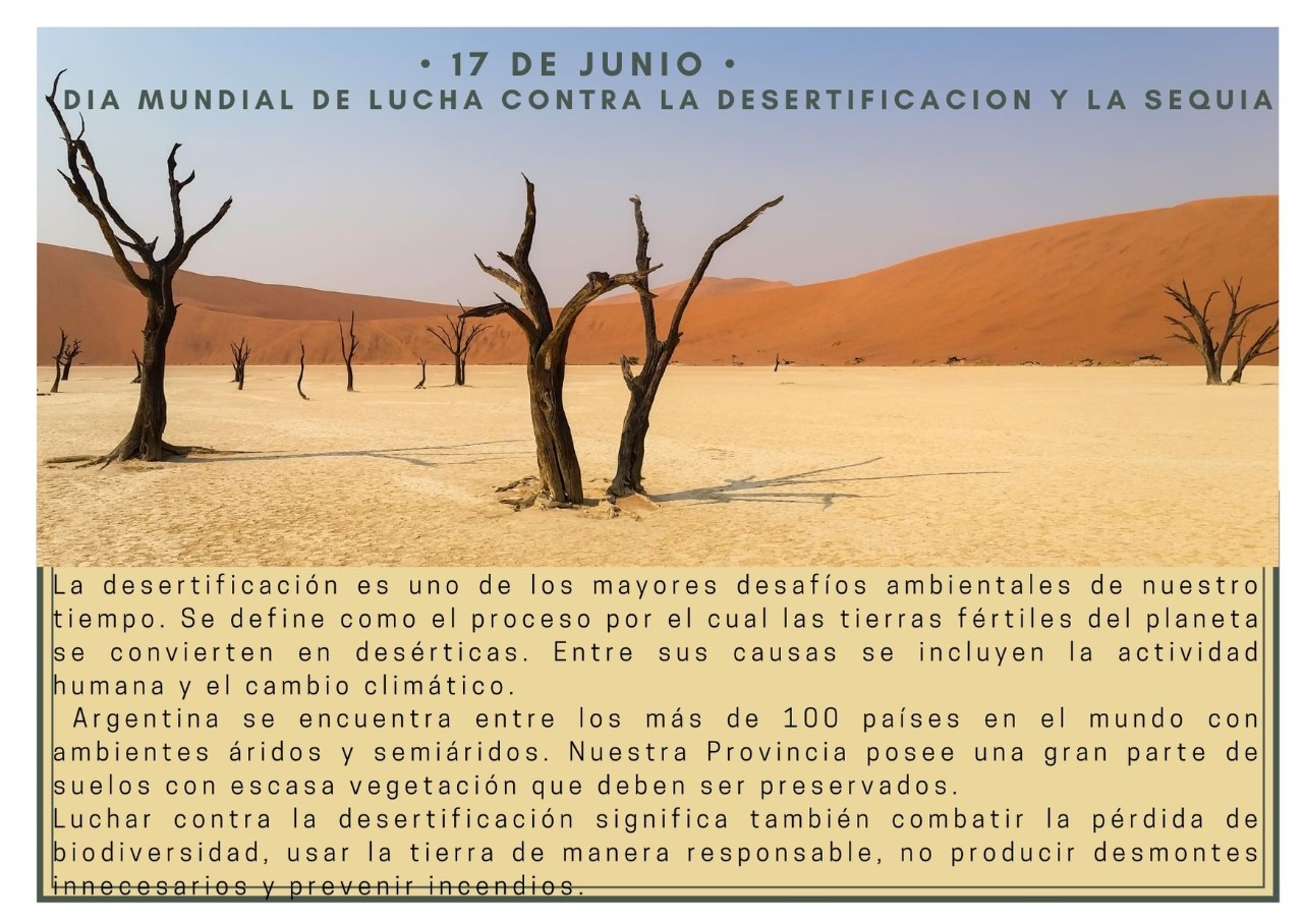 17 DE JUNIO – DIA MUNDIAL DE LUCHA CONTRA LA DESERTIFICACION Y LA SEQUIA.