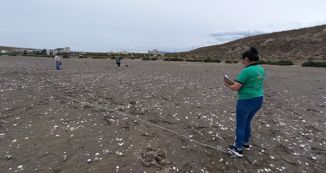 Ambiente realizó censo de residuos en playas de Comodoro Rivadavia