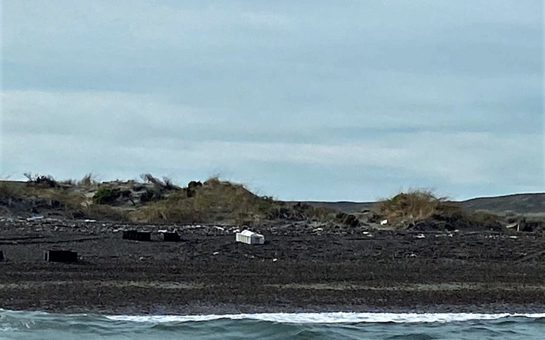 Funcionarios y Técnicos Provinciales recorrieron playas afectadas por residuos pesqueros junto a inspectores de Nación