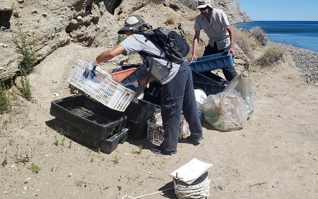  Ambiente detectó una gran acumulación de cajones en  El Pedral y Punta Ninfas provenientes de la actividad pesquera industrial