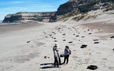 Organismos provinciales coordinan acciones para limpieza costera.