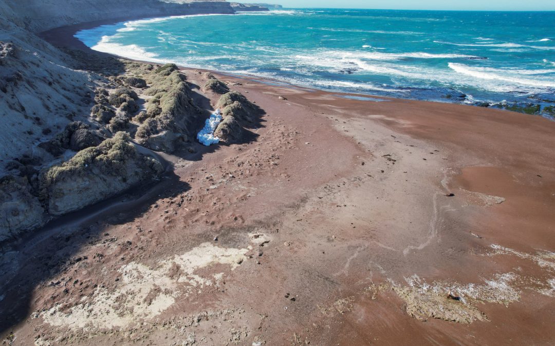 Limpieza Costera: El antes y después de Pico Sayago, Península Valdés.