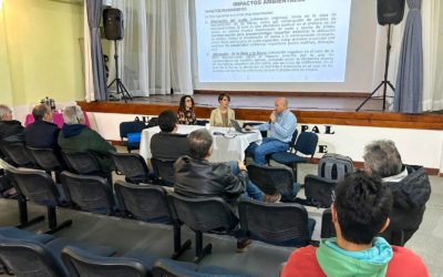 Ambiente celebró una nueva Audiencia Pública de un proyecto de conexión energética en Gobernador Costa