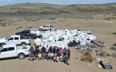 Provincia gestionó la recolección de más de 10 toneladas de residuos en Playa Cormoranes