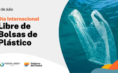 noticiaspuertosantacruz.com.ar - Imagen extraida de: https://ambiente.chubut.gov.ar/evitemos-usar-bolsas-de-plastico-hoy-y-siempre/