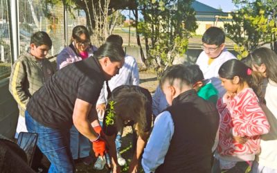 Provincia realizó actividades de Educación Ambiental en Comodoro Rivadavia