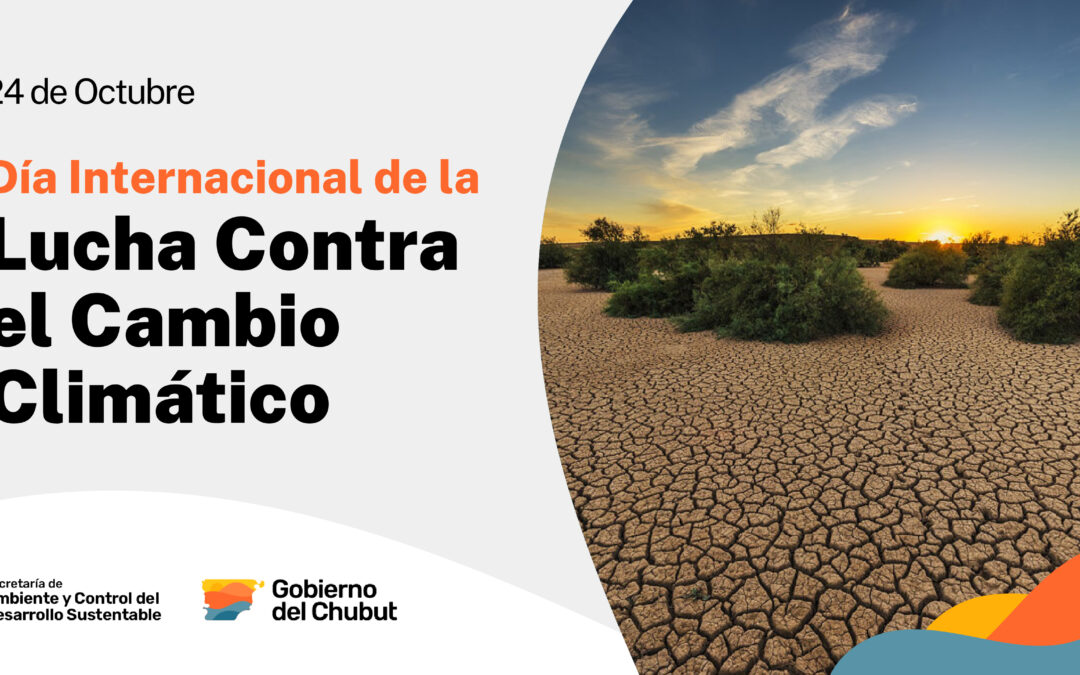 Hoy llamamos la atención sobre los efectos del Cambio Climático