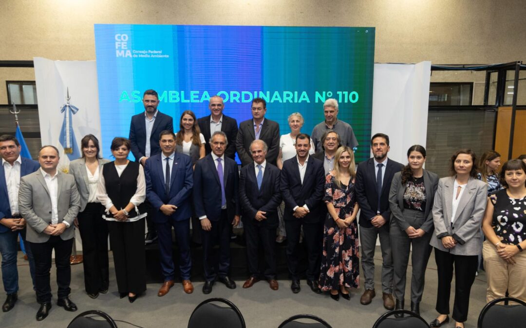 Chubut expuso los avances en política ambiental ante el Consejo Federal de Medio Ambiente