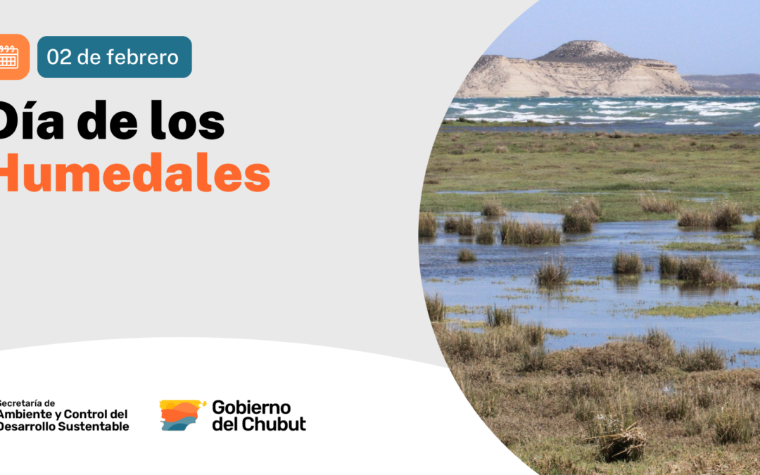 02 de febrero| Día Mundial de los Humedales