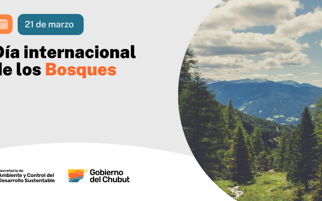 21 de Marzo | Día Internacional de los Bosque