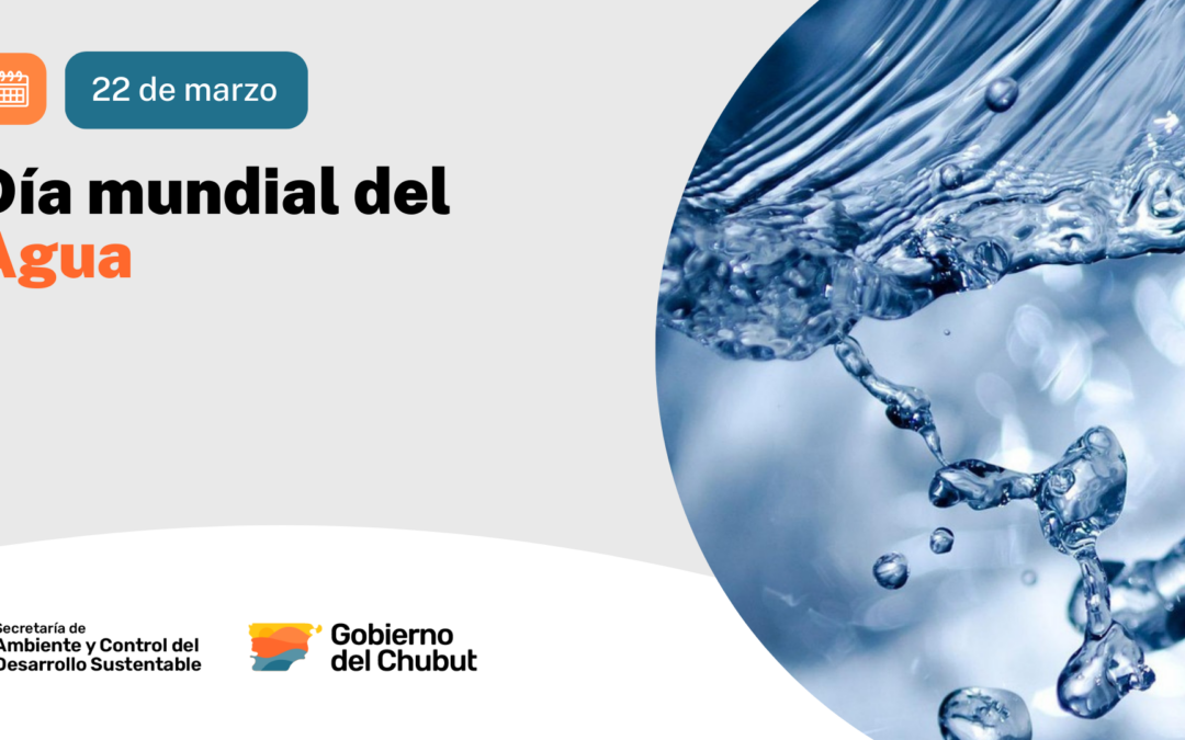 22 de marzo | Día Mundial del Agua